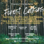 Forest (Facebook Event Cover)