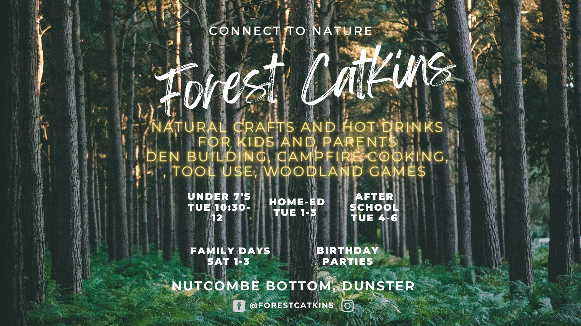 Forest (Facebook Event Cover)
